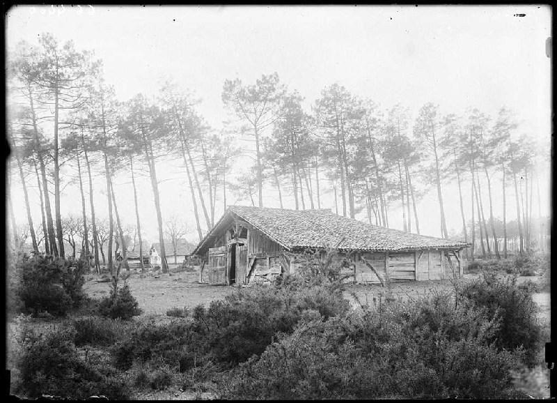 Parc voisin de la maison Mounichon - Grué (Lüe) (Titre attribué)_0