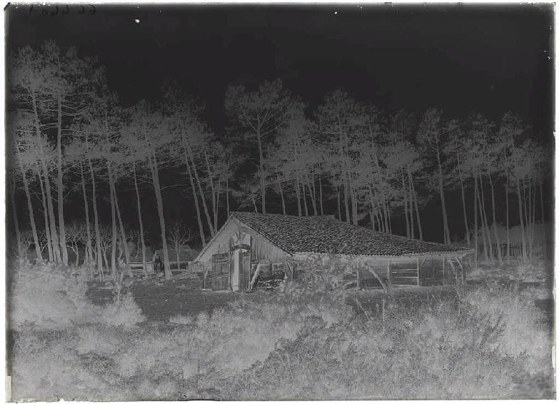 Parc voisin de la maison Mounichon - Grué (Lüe) (Titre attribué)_1
