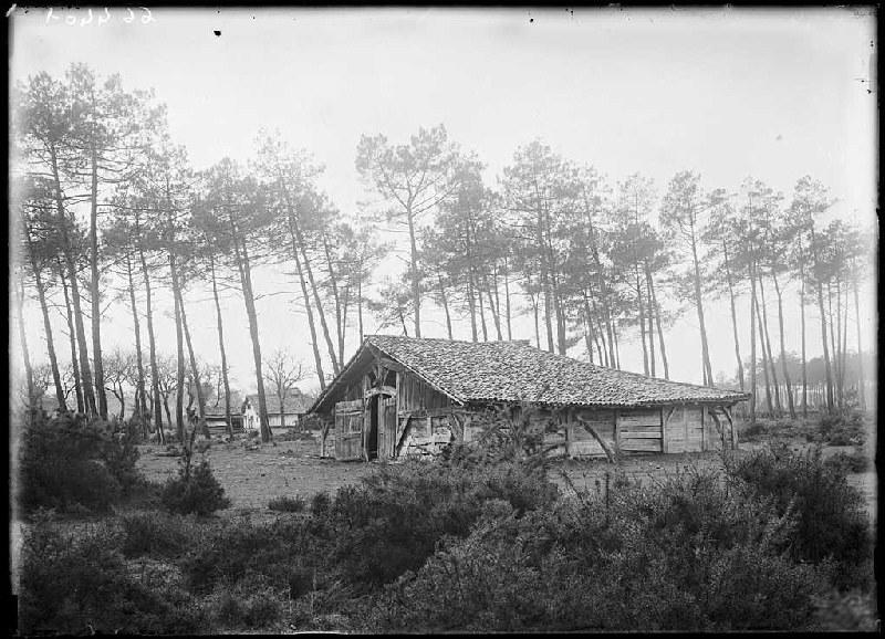Parc voisin de la maison Mounichon - Grué (Lüe) (Titre attribué)_0