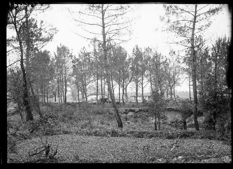 Vue du quartier - Le Mariné (Lüe) (Titre attribué)_0