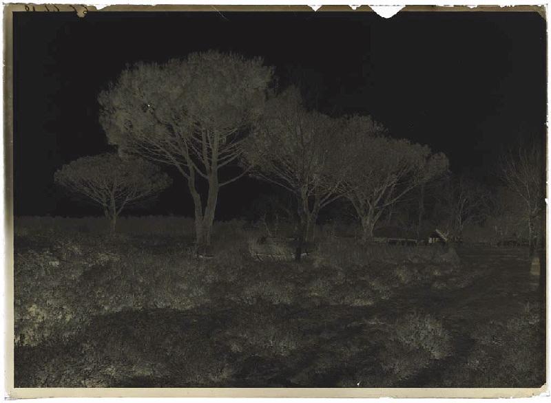 Vue du quartier - Le Mariné (Lüe) (Titre attribué)_1