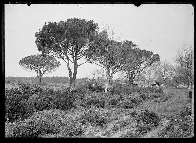 Vue du quartier - Le Mariné (Lüe) (Titre attribué)_0