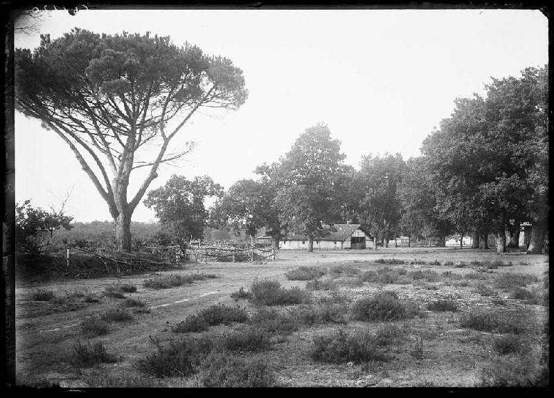 Vue du quartier - Le Mariné (Lüe) (Titre attribué)_0