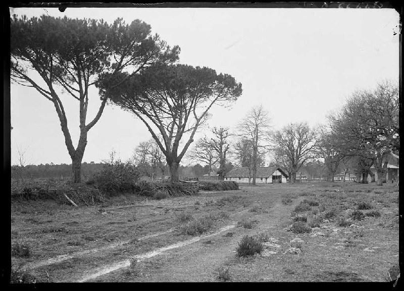 Vue du quartier - Le Mariné (Lüe) (Titre attribué)_0