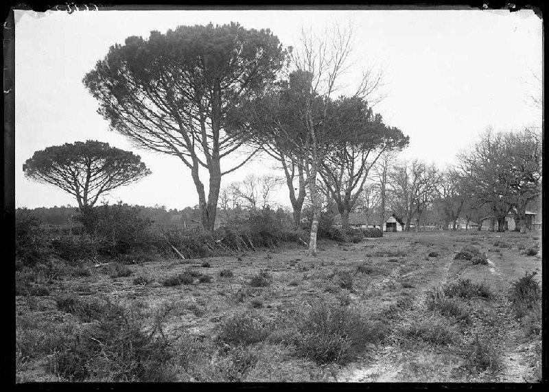 Vue du quartier - Le Mariné (Lüe) (Titre attribué)_0