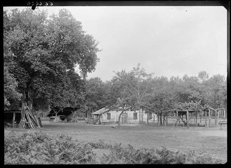Maison - Ligautenx (Lüe) (Titre attribué)_0