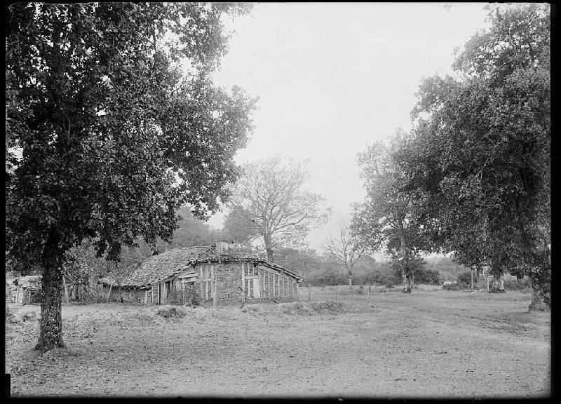 Maison Marsalic - Cornalis (Morcenx) (Titre attribué)_0