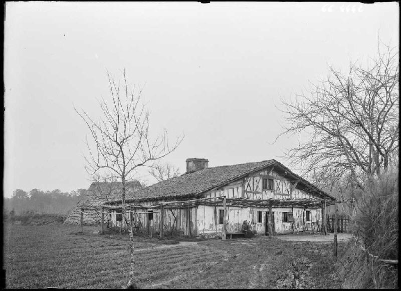 Maison Perrot, dite des Anglais - Cornalis (Morcenx) (Titre attribué)_0