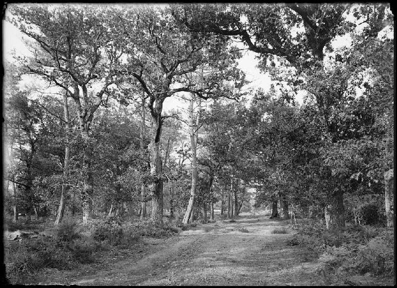 Cornalis (Morcenx) (Titre attribué)_0