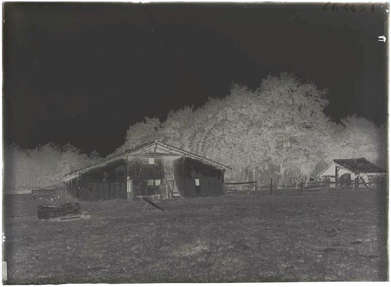 Maison Lensigne - Cornalis (Morcenx) (Titre attribué)_1