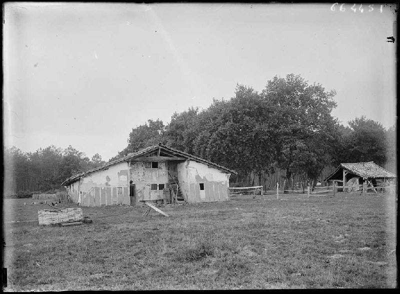 Maison Lensigne - Cornalis (Morcenx) (Titre attribué)_0