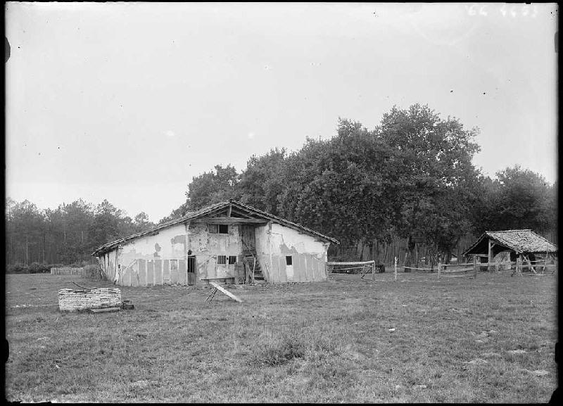 Maison Lensigne - Cornalis (Morcenx) (Titre attribué)_0