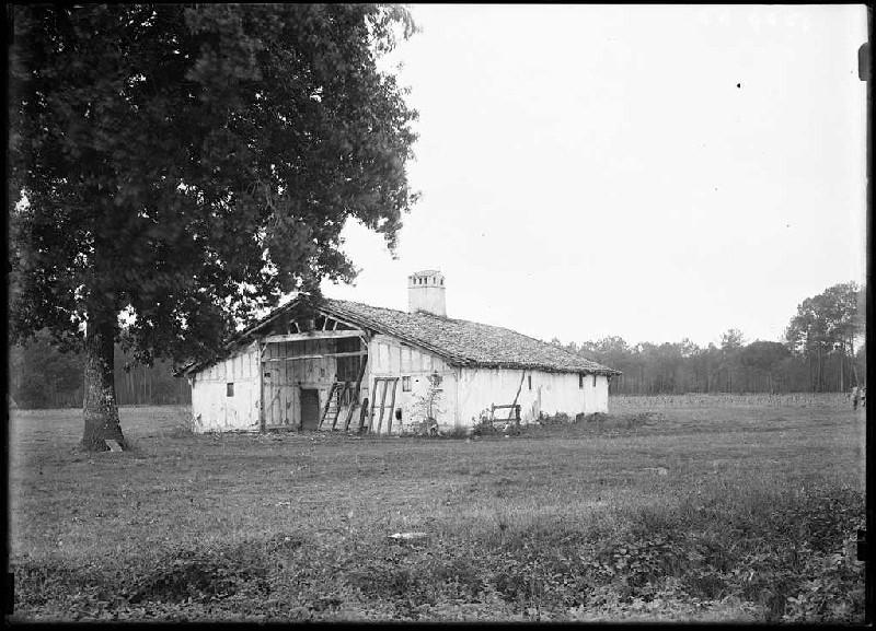 Maison Mountine - Cornalis (Morcenx) (Titre attribué)_0