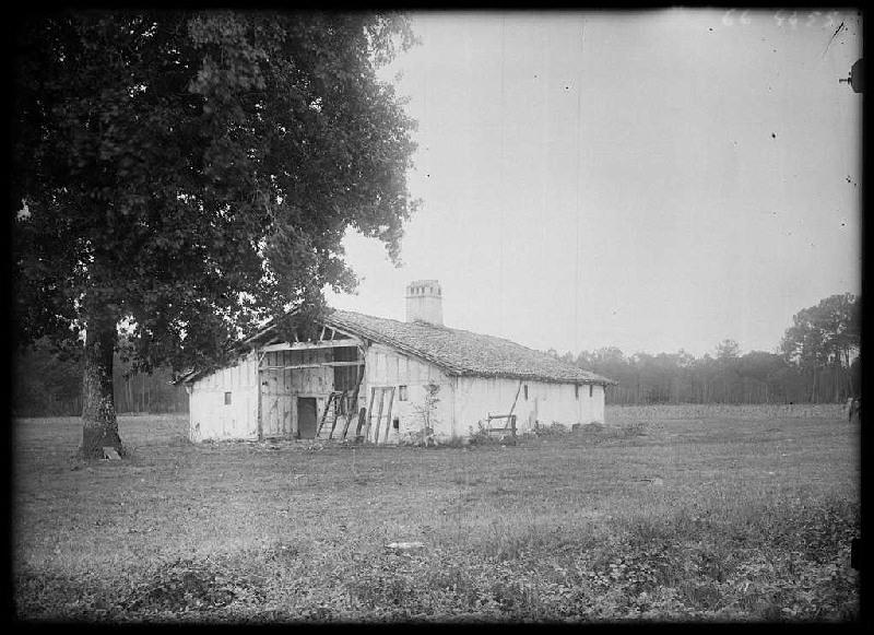 Maison Mountine - Cornalis (Morcenx) (Titre attribué)_0