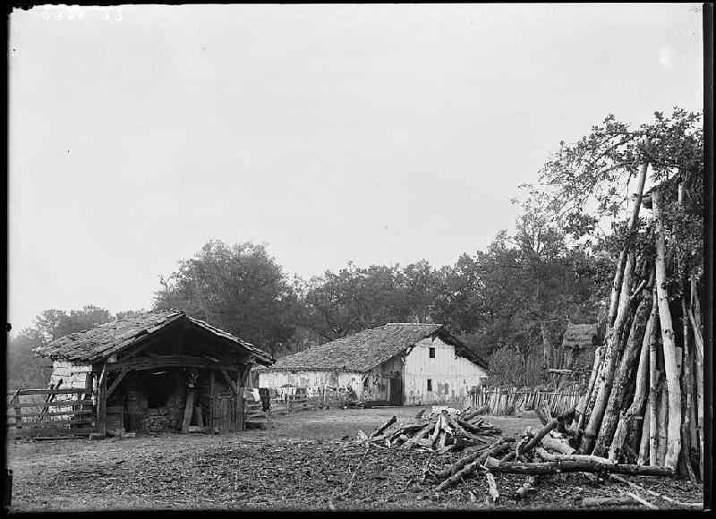 Maison Daraou - Cornalis (Morcenx) (Titre attribué)_0