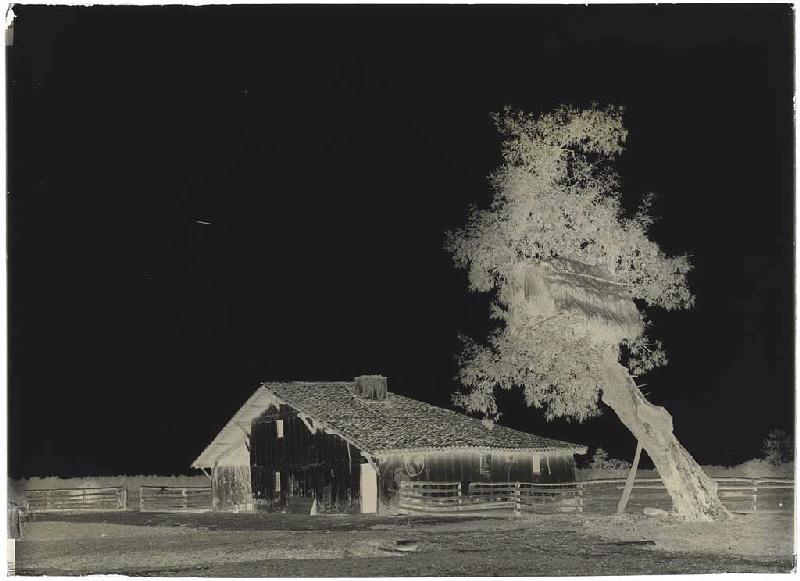 Maison Daraou - Cornalis (Morcenx) (Titre attribué)_1