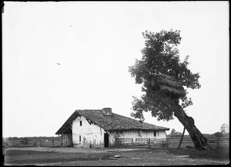 Maison Daraou - Cornalis (Morcenx) (Titre attribué)_0