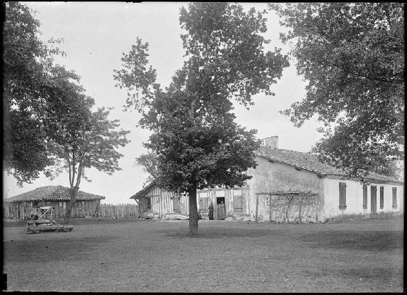 Ancienne maison Larreillet - Le Bô (Parentis) (Titre attribué)_0