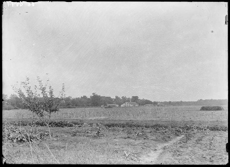 Ancienne maison Larreillet - Le Bô (Parentis) (Titre attribué)_0