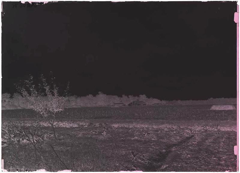 Ancienne maison Larreillet - Le Bô (Parentis) (Titre attribué)_1