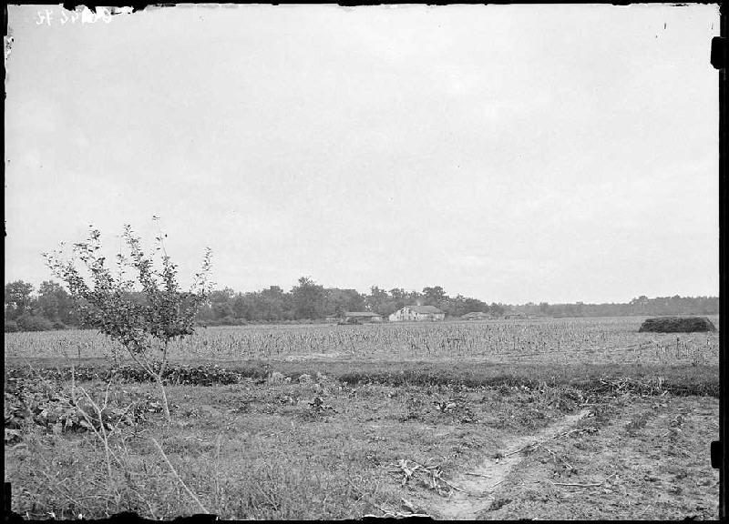 Ancienne maison Larreillet - Le Bô (Parentis) (Titre attribué)_0