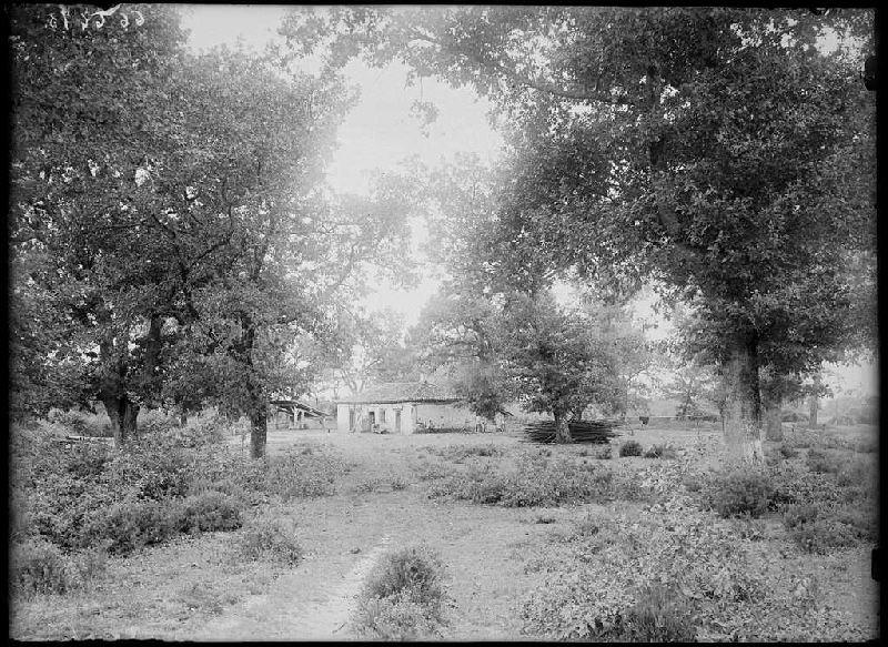 Première maison au levant - Le Bô (Landes) (Titre attribué)_0