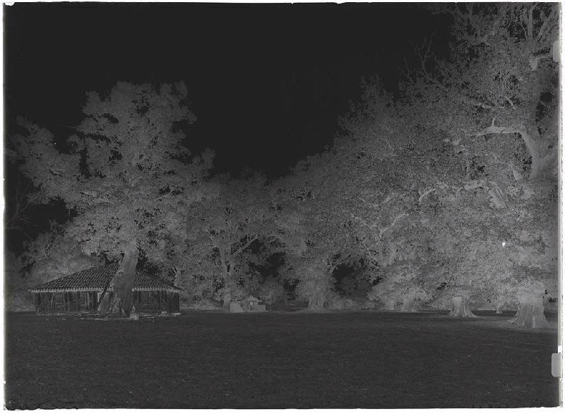 Maison - Le Petit Quartier (Parentis) (Titre attribué)_1