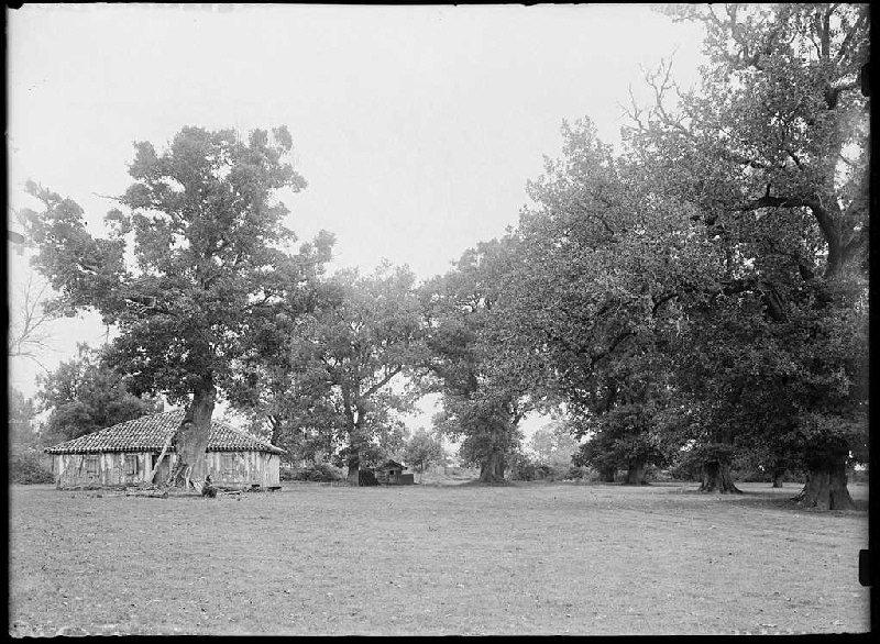 Maison - Le Petit Quartier (Parentis) (Titre attribué)_0