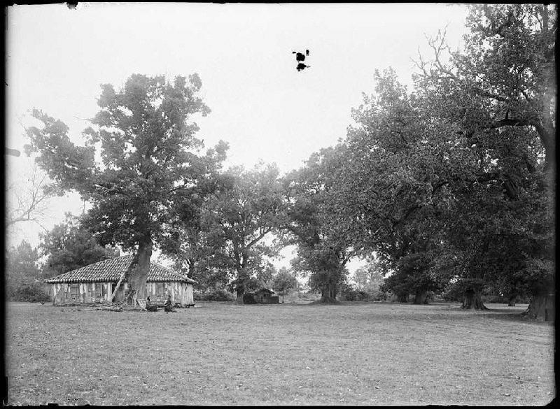 Maison - Le Petit Quartier (Parentis) (Titre attribué)_0