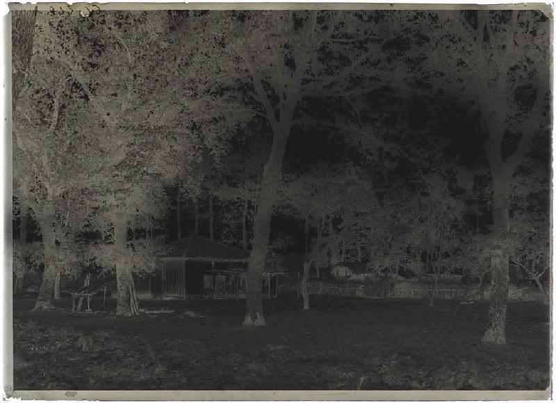 Maison - Les Brannes (Pontenx) (Titre attribué)_1