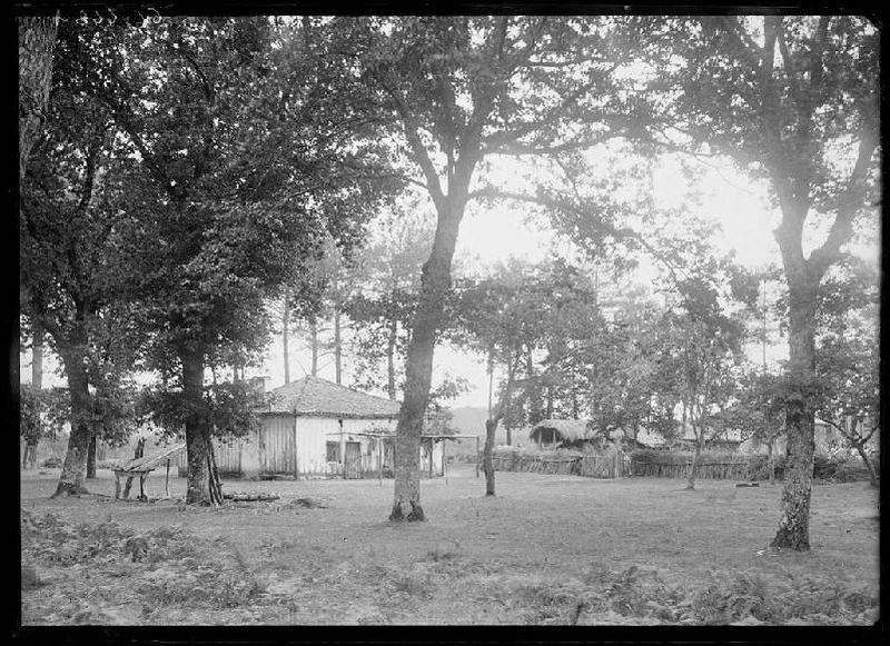 Maison - Les Brannes (Pontenx) (Titre attribué)_0