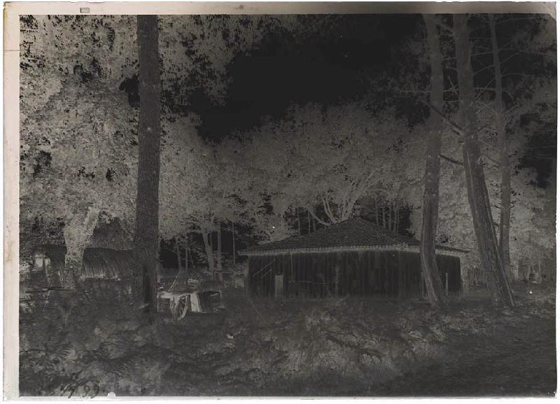 Maison - Les Brannes (Pontenx) (Titre attribué)_1