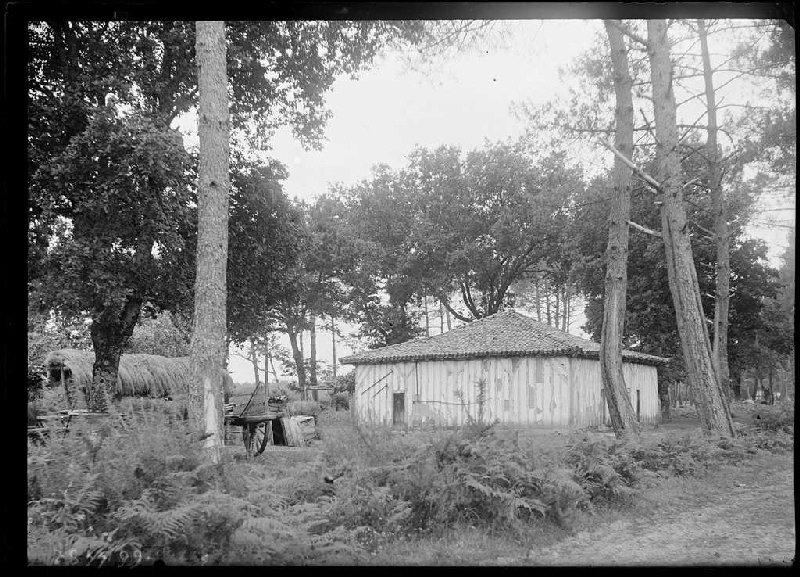 Maison - Les Brannes (Pontenx) (Titre attribué)_0