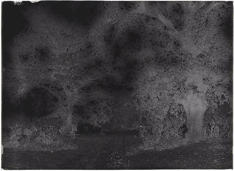 Maison à auvent - Bacqueserre (Commensacq)_1