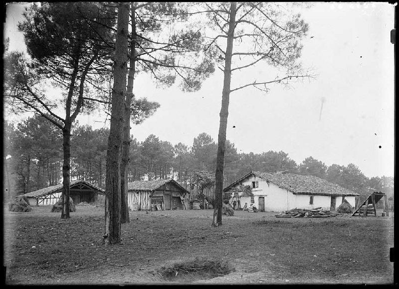 Maison à auvent - Peyron (Commensacq)_0