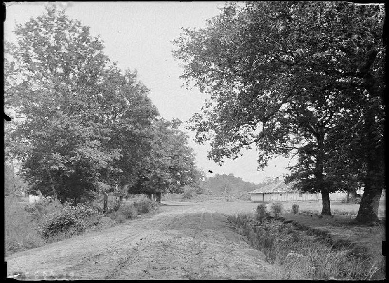 Maison - Calhon (Sabres) (Titre attribué)_0