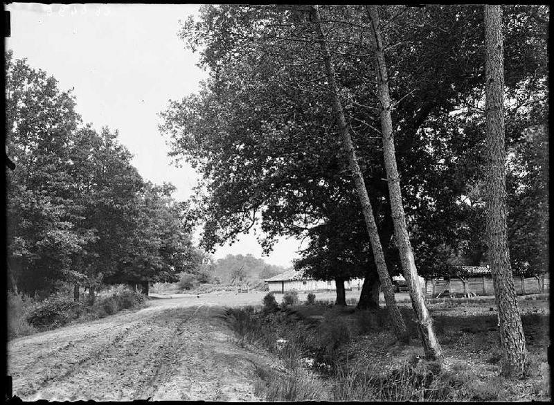 Maison - Calhon (Sabres) (Titre attribué)_0