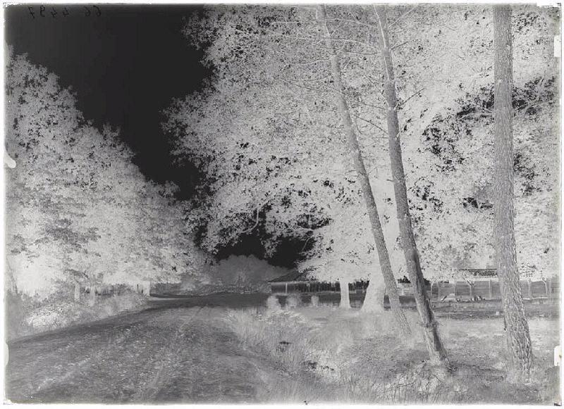 Maison - Calhon (Sabres) (Titre attribué)_1