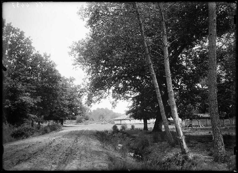 Maison - Calhon (Sabres) (Titre attribué)_0