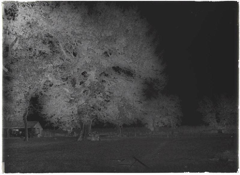 Airial vu du Sud - Baluhet (Escource) (il est inscrit 'ancien bourdiou' dans le registre d'inventaire)_1