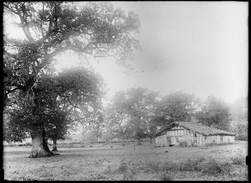Maison - le Pradilhoun (Sabres) (Titre attribué)_0