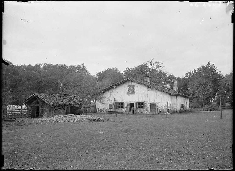 Maison - Laurède (Sabres) (Titre attribué)_0