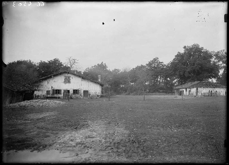 Maison - Laurède (Sabres) (Titre attribué)_0