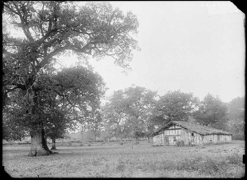 Maison de Courrègues - Pradilhoun (Sabres) (Titre attribué)_0