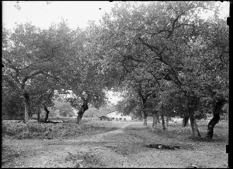 Maison - Laurède (Sabres) (Titre attribué)_0