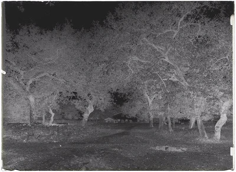 Maison - Laurède (Sabres) (Titre attribué)_1