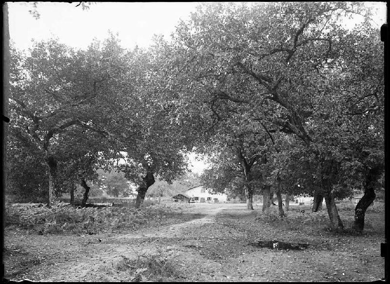 Maison - Laurède (Sabres) (Titre attribué)_0