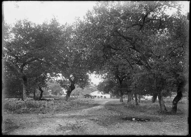 Maison - Laurède (Sabres) (Titre attribué)_0