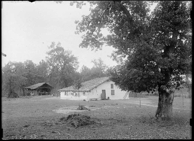 Maison - Le Crec (Sabres) (Titre attribué)_0