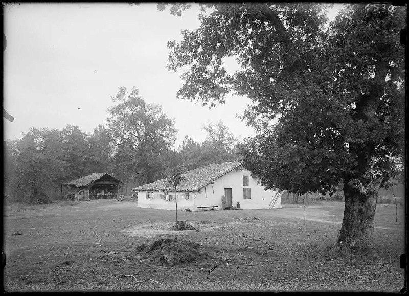 Maison - Le Crec (Sabres) (Titre attribué)_0